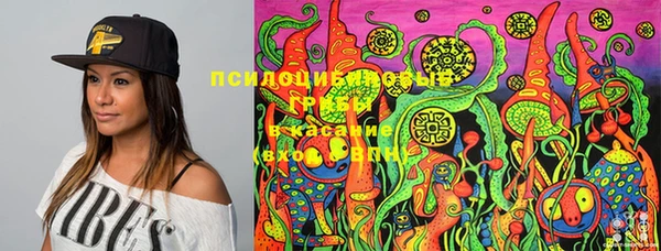 хмурый Алзамай