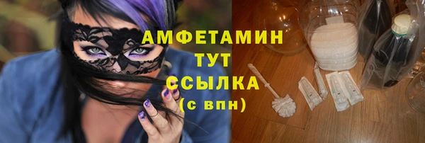 индика Абаза