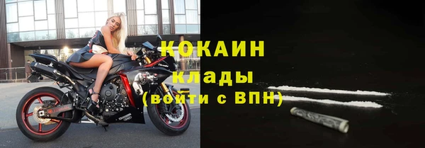индика Абаза