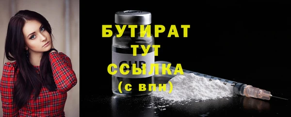индика Абаза