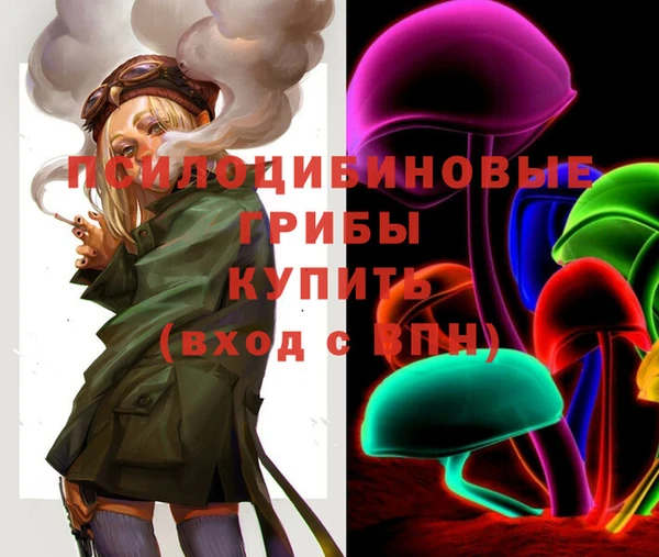 дмт Абинск
