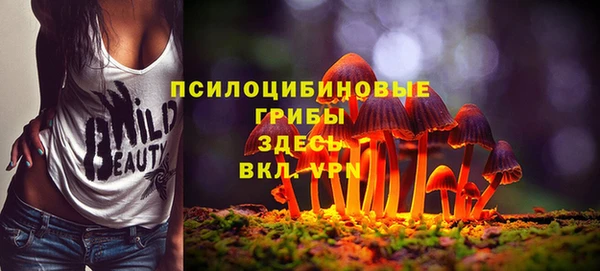 дмт Абинск