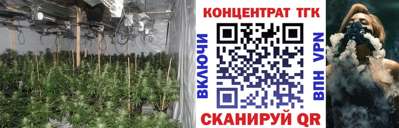 ТГК гашишное масло  Луга 