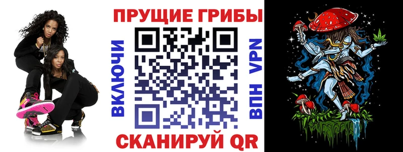 MEGA ONION  даркнет официальный сайт  Псилоцибиновые грибы Psilocybe  Луга 