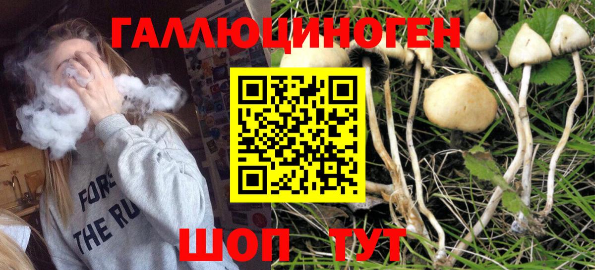 Луга  Псилоцибиновые грибы GOLDEN TEACHER  Вход с VPN 