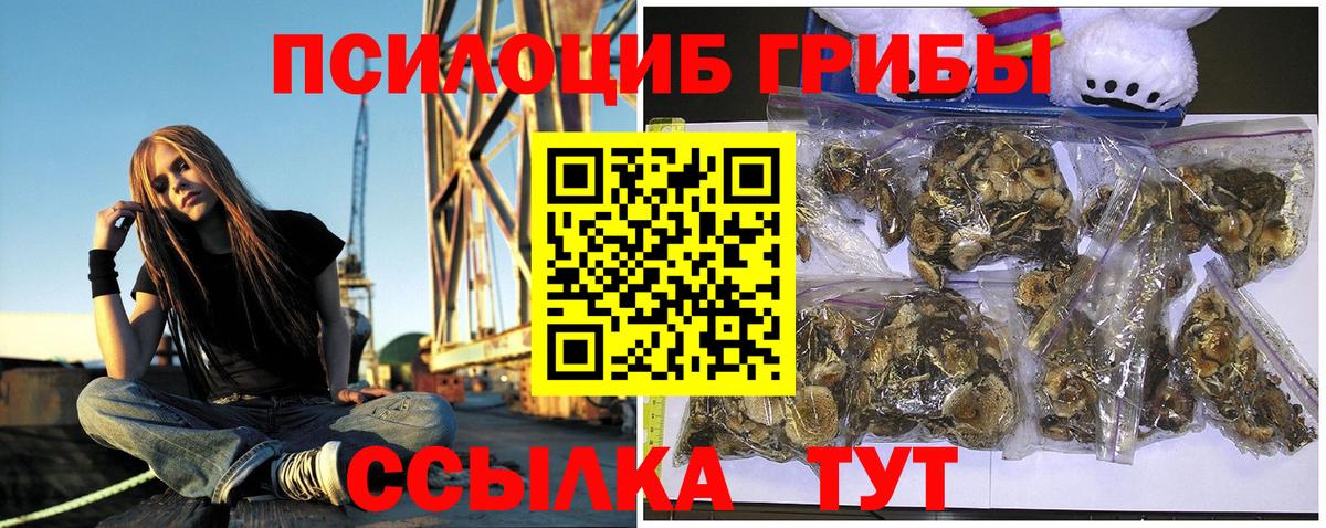 Галлюциногенные грибы Cubensis Луга